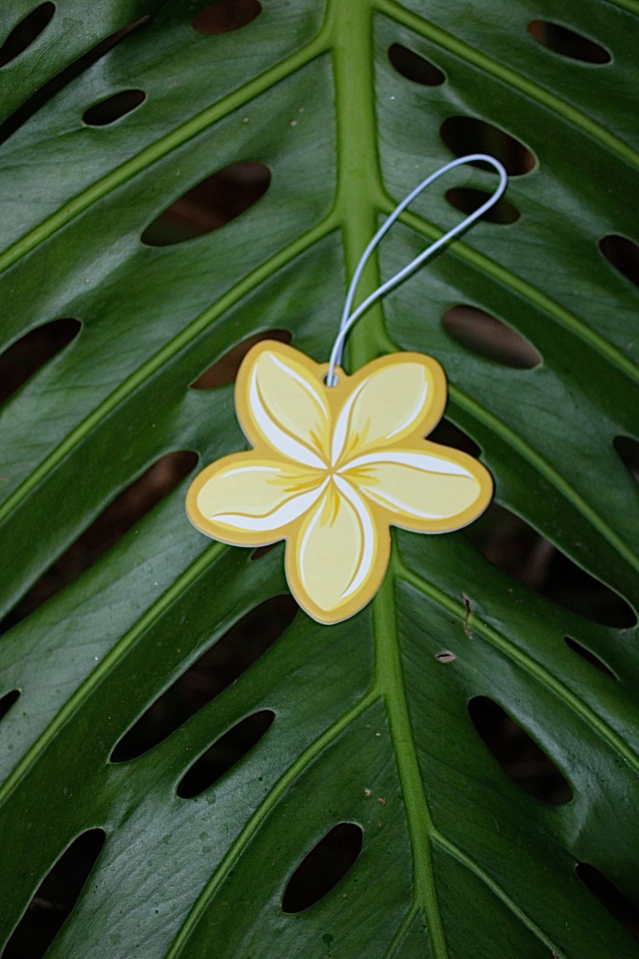 Plumeria Car Freshener