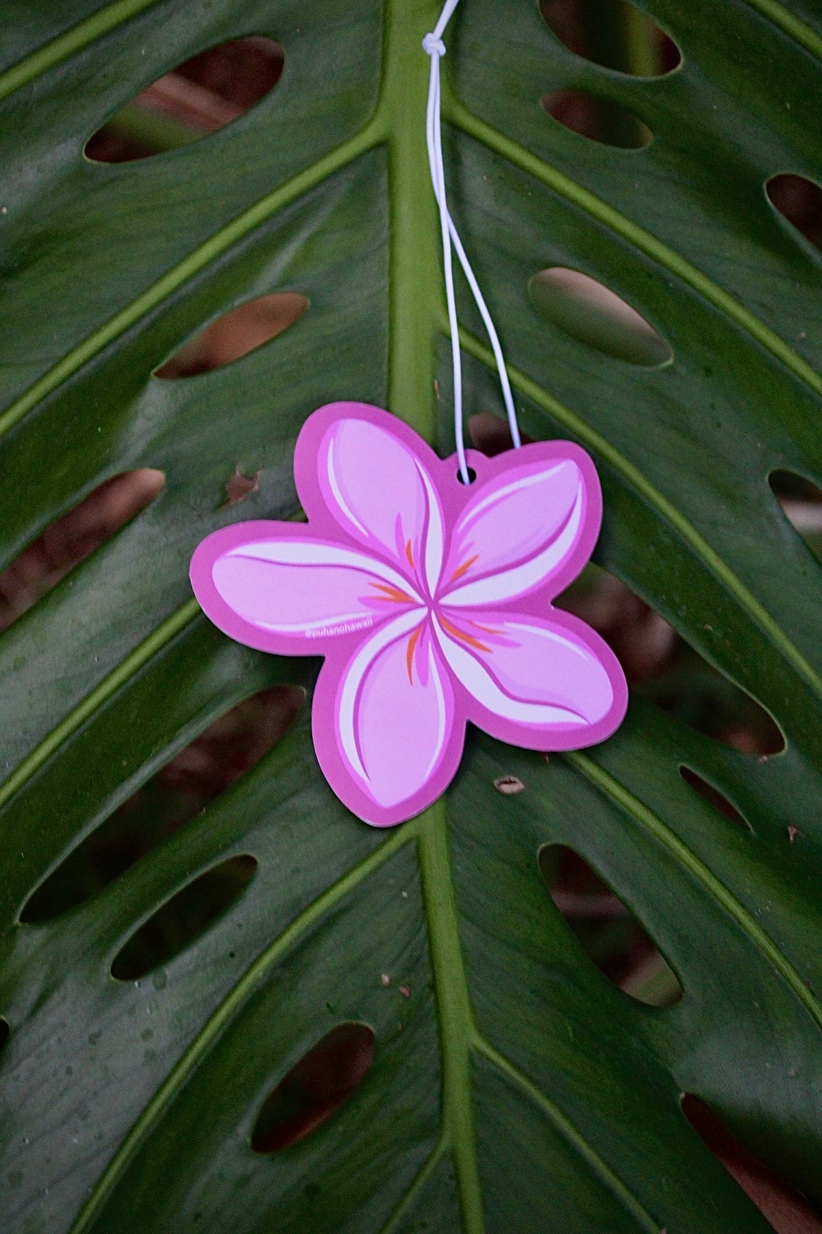 Plumeria Car Freshener
