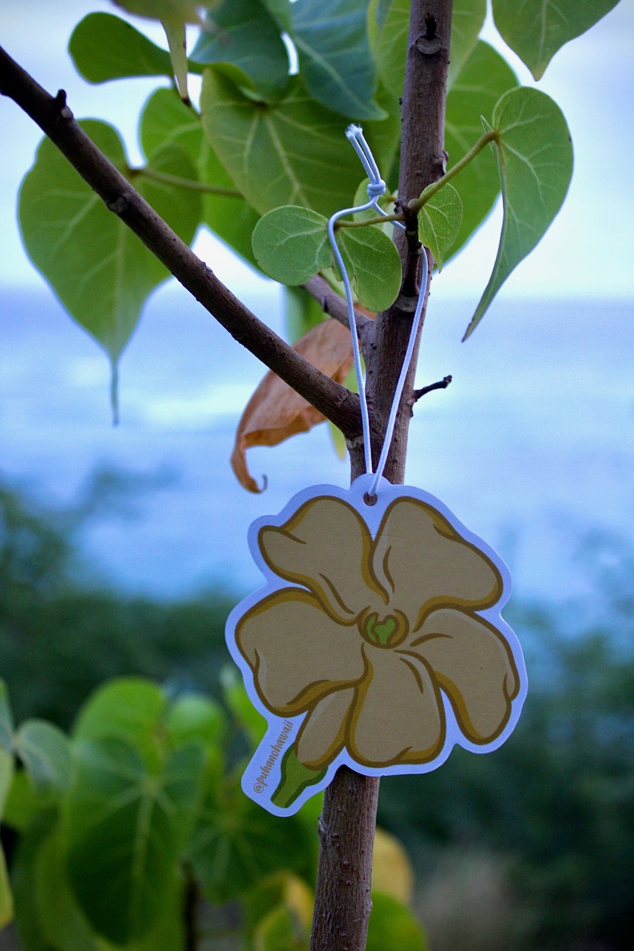 Puakenikeni Car Freshener