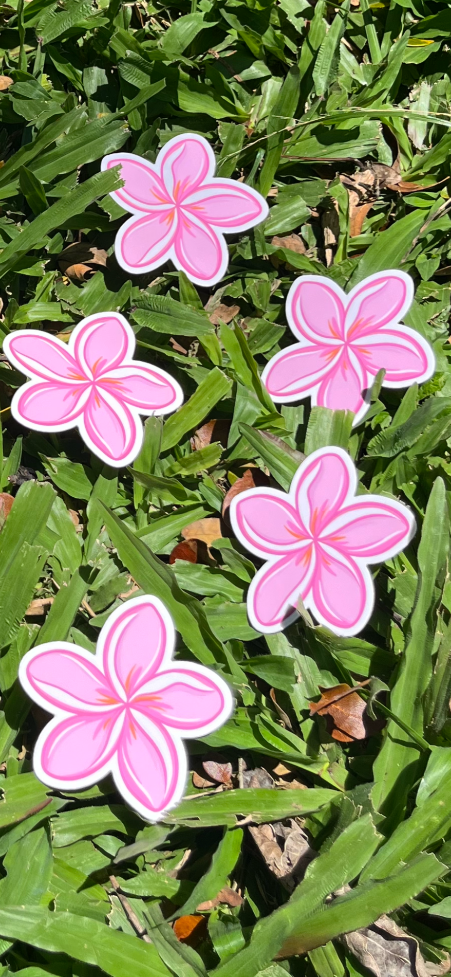 Pink Plumeria Sticker