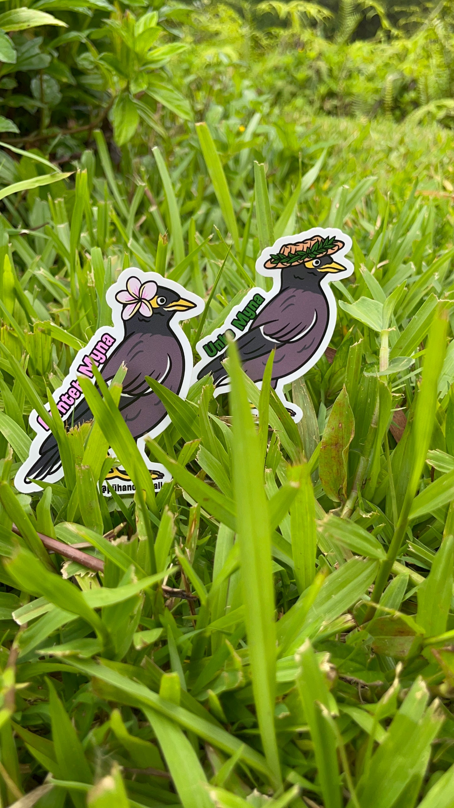 Aunteh Myna Bird Sticker