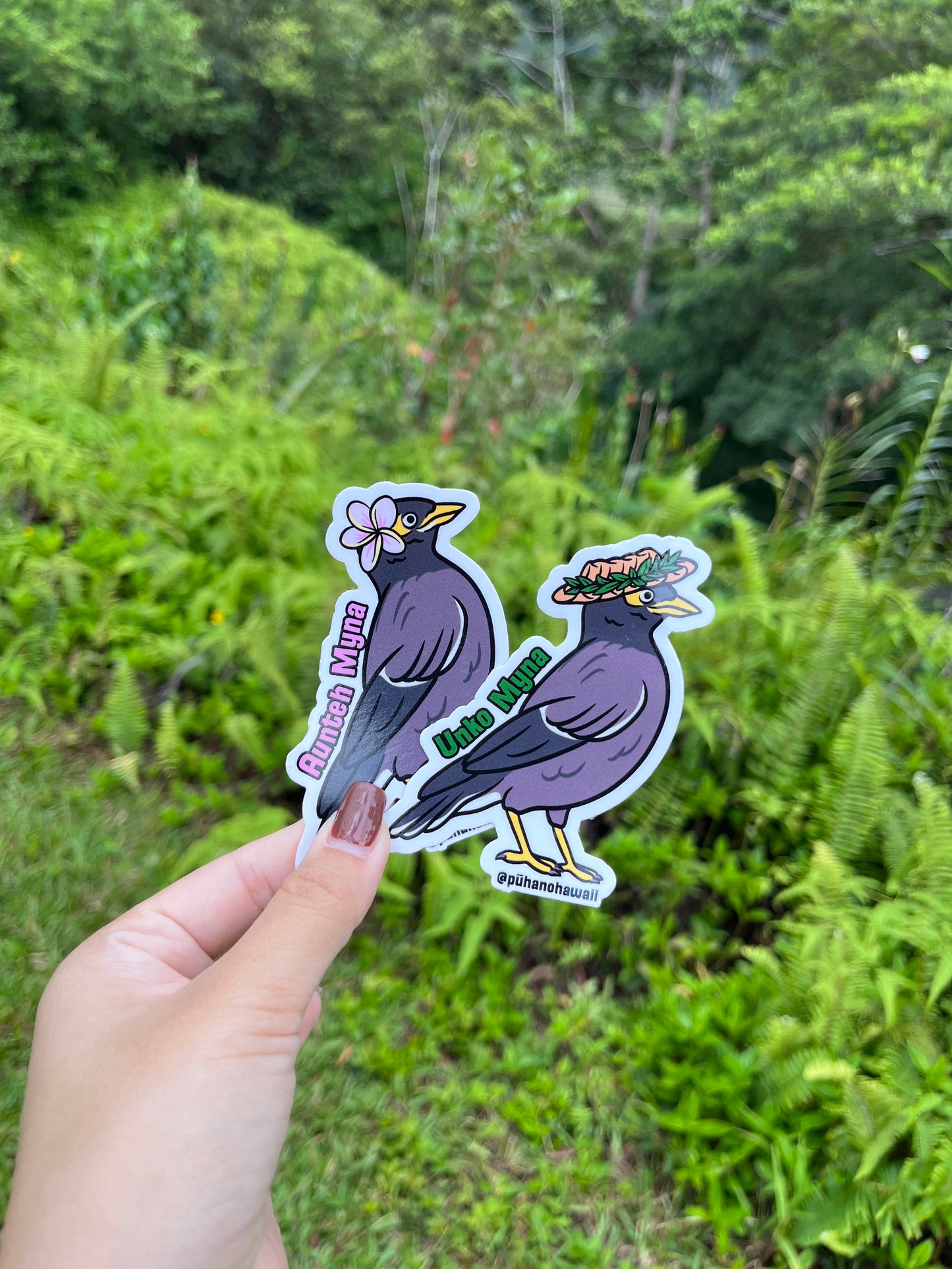 Aunteh Myna Bird Sticker